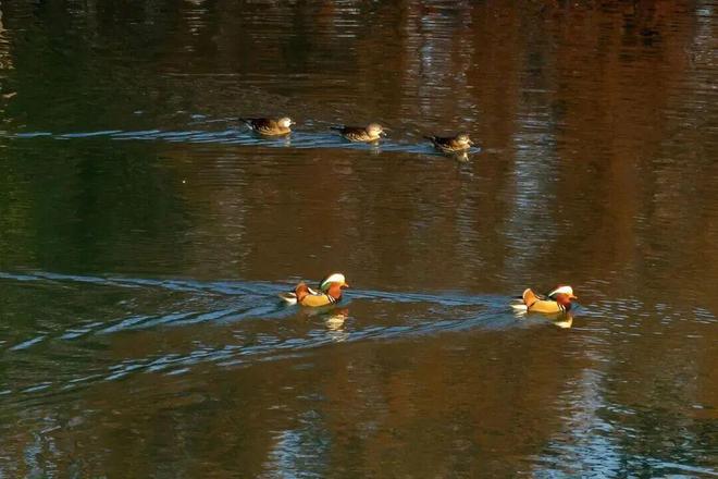 欢迎来到“疯狂动物城”无锡站！(图14)