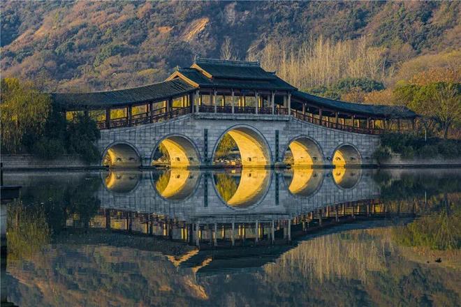 欢迎来到“疯狂动物城”无锡站！(图15)