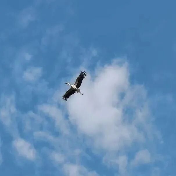 欢迎来到“疯狂动物城”无锡站！(图18)