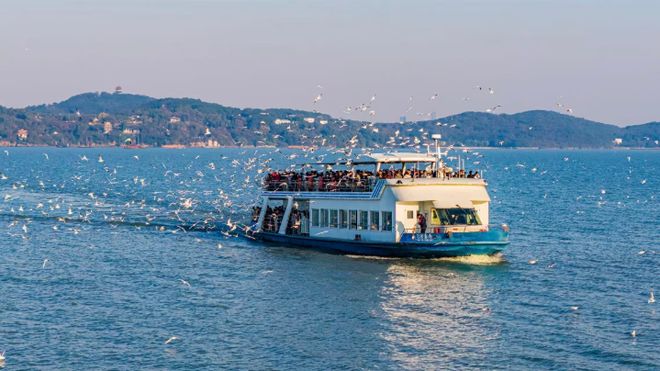 欢迎来到“疯狂动物城”无锡站！(图12)