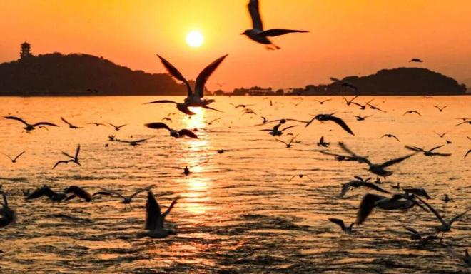 欢迎来到“疯狂动物城”无锡站！(图13)