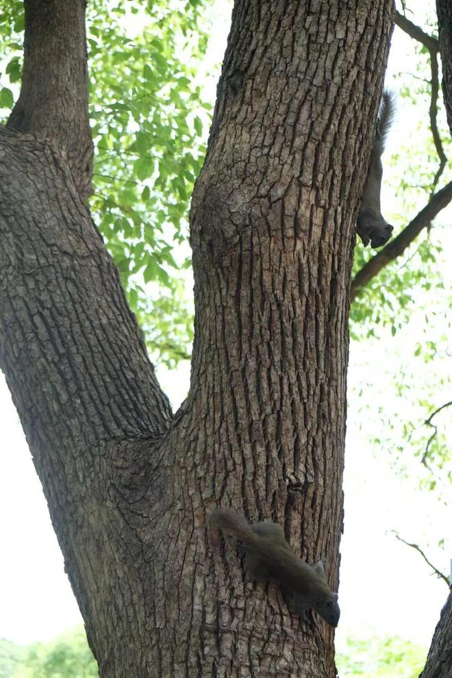 欢迎来到“疯狂动物城”无锡站！(图17)