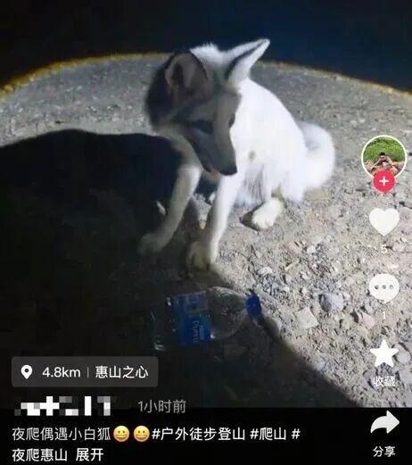 欢迎来到“疯狂动物城”无锡站！(图16)