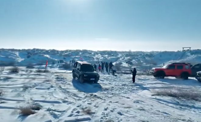 立案！保护大耳沙蜥国内唯一栖息地(图2)