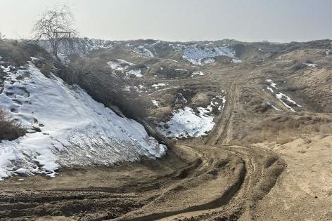 立案！保护大耳沙蜥国内唯一栖息地(图3)