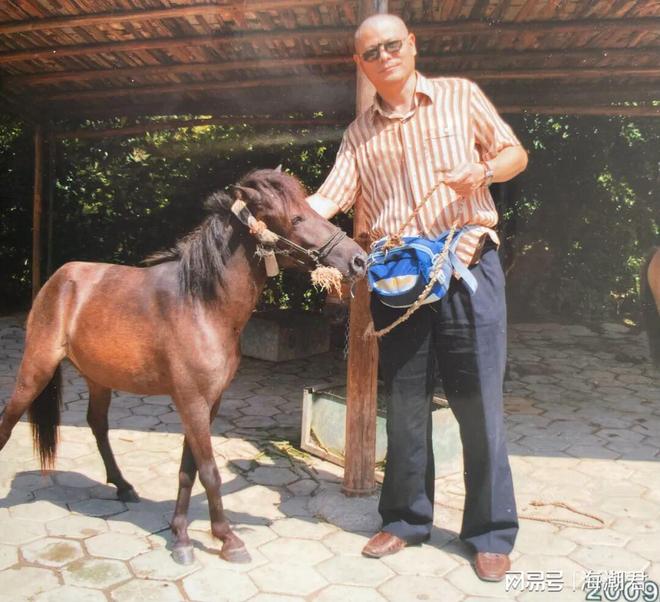 郭耕：马年话马 海潮天下·动物与文化(图4)