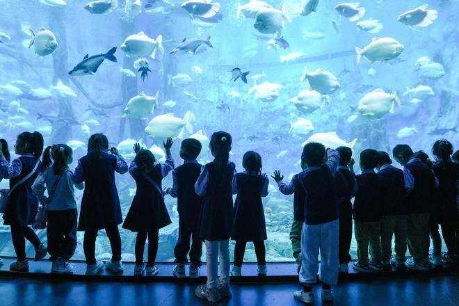 2024年河南省水生野生动物保护科普宣传月活动在郑州海昌启动(图4)