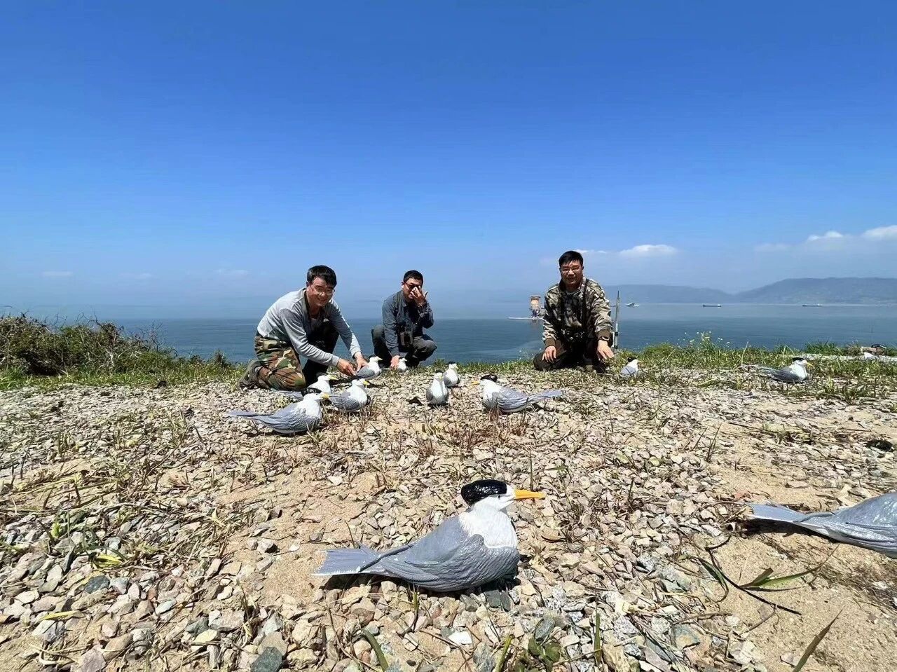 深读丨“神话之鸟”的归来神话(图5)