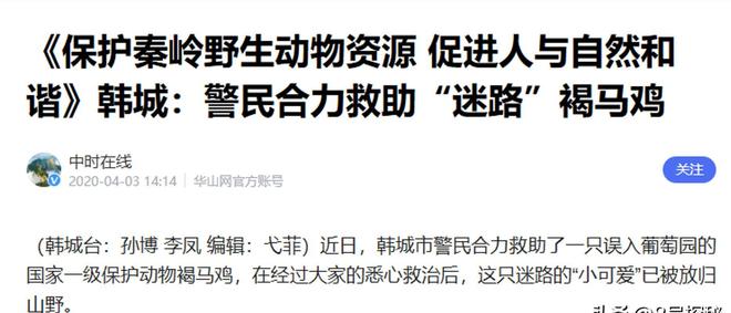 一度濒临灭绝！2020年陕西村民救下1只竟是山海经中的上古神兽(图22)