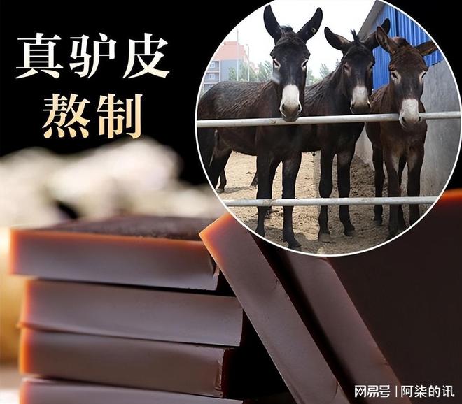 美国野驴低价卖中国五年从泛滥成了濒危？美媒：都怪中国太残忍(图3)