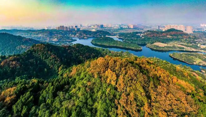 最新生物多样性调查结果公布：龙泉驿用1258种高等植物与256种鸟类勾勒出生态画卷(图5)