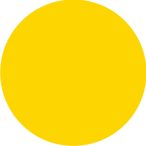 最新生物多样性调查结果公布：龙泉驿用1258种高等植物与256种鸟类勾勒出生态画卷(图1)