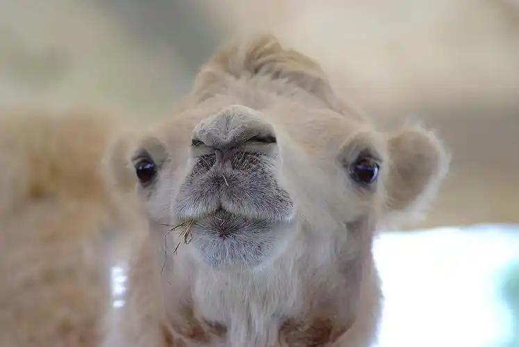 在丽水看见诗画中国(图1)