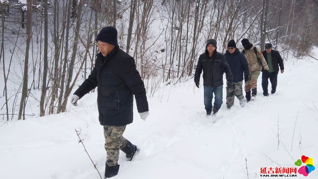 汪林联合多部门启动东北虎豹及其栖息地专项保护行动(图3)