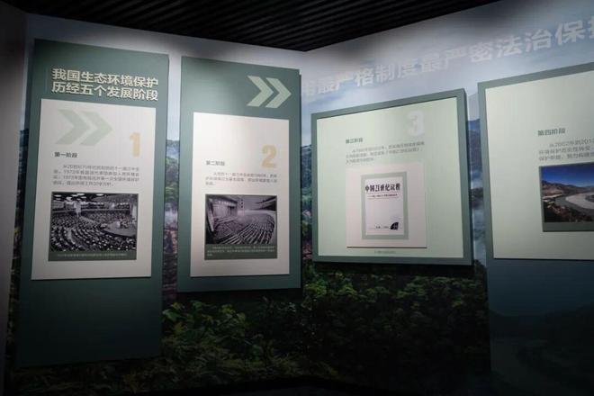 新地标！到四面山打卡“生态+司法”的奇幻世界(图1)