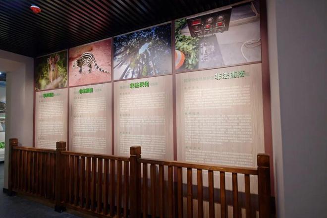 新地标！到四面山打卡“生态+司法”的奇幻世界(图2)