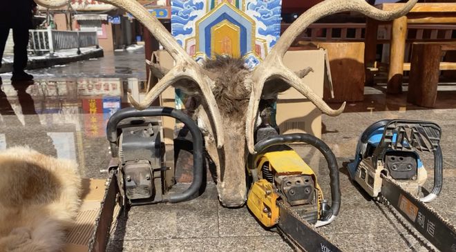 第11个“世界野生动植物日” 保护野生动植物维护生态安全！(图2)