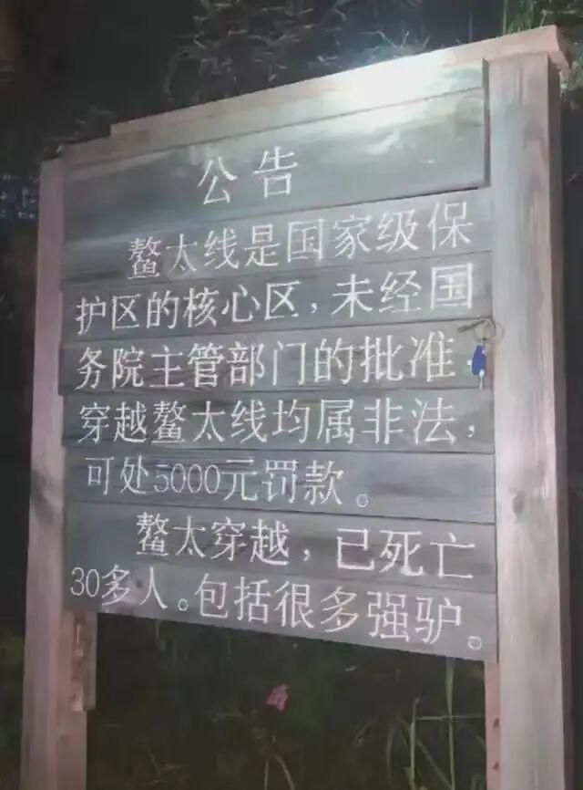 陕西太白县采购围网拟整治违法穿越“鳌太线”被质疑影响动物迁徙(图3)
