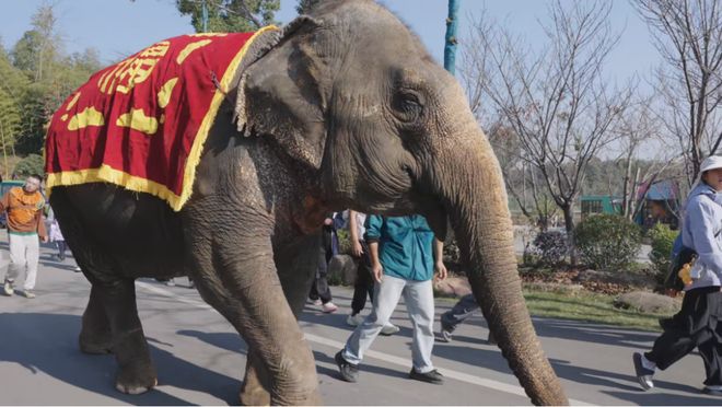 5米高马天梯已就位!爱你老己明年见!(图6)