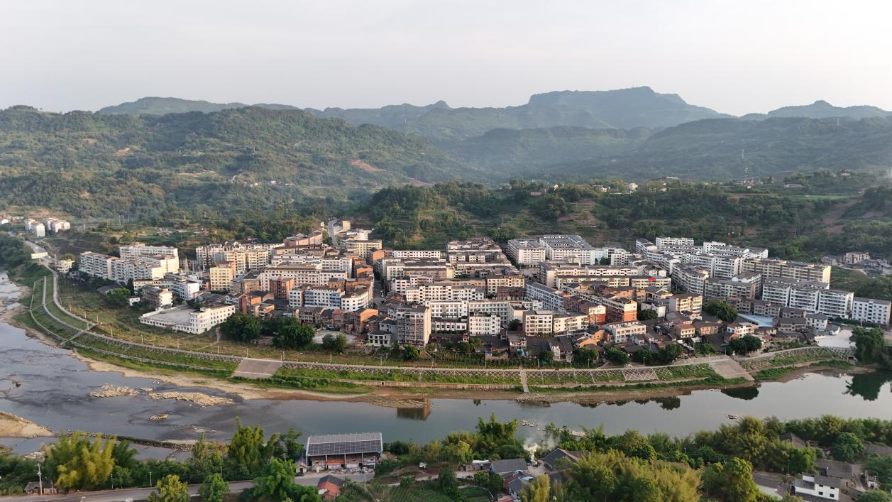 绝对零度｜中华秋沙鸭缘何连续13年打卡“西湖”(图5)