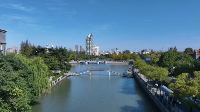 长江寻鱼记扬子江头“豚微笑” 生态向好产业兴(图4)