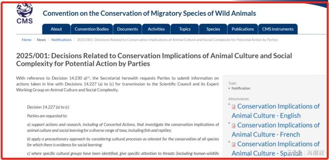 动物文化——全球生物多样性保护新概念 海潮天下·生态小百科(图3)