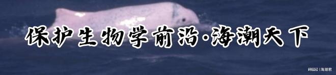 动物文化——全球生物多样性保护新概念 海潮天下·生态小百科(图1)