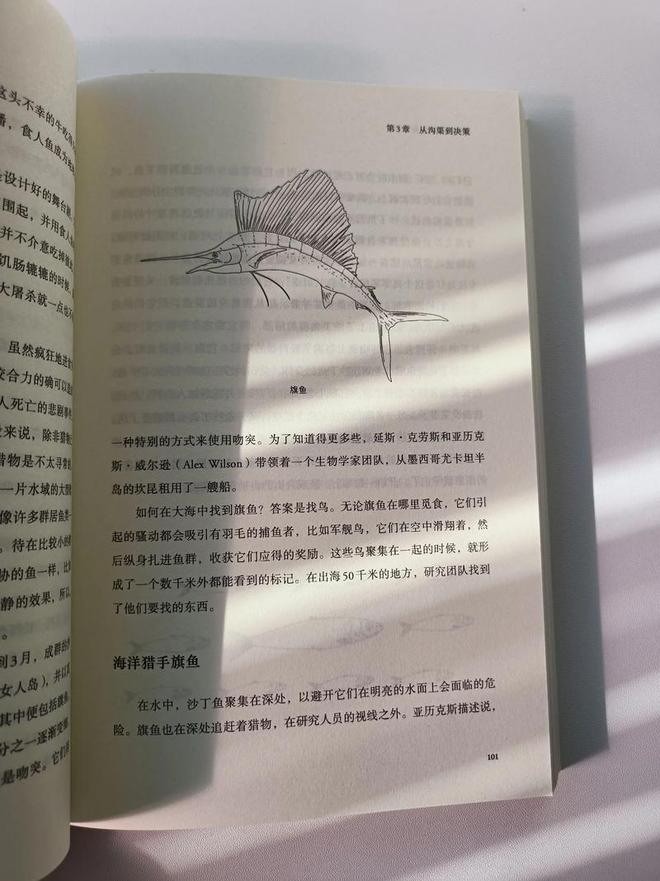 《动物社会的生存哲学》：动物社会的团结协作和生存密码(图3)