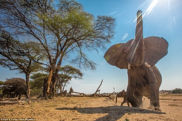 《人民日报》点赞普洱公安：保护野生动物从有网感的科普开始(图1)