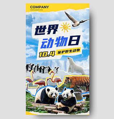 濒危物种再添新丁！广州长隆野生动物世界长鼻猴幼崽百日亮相(图1)