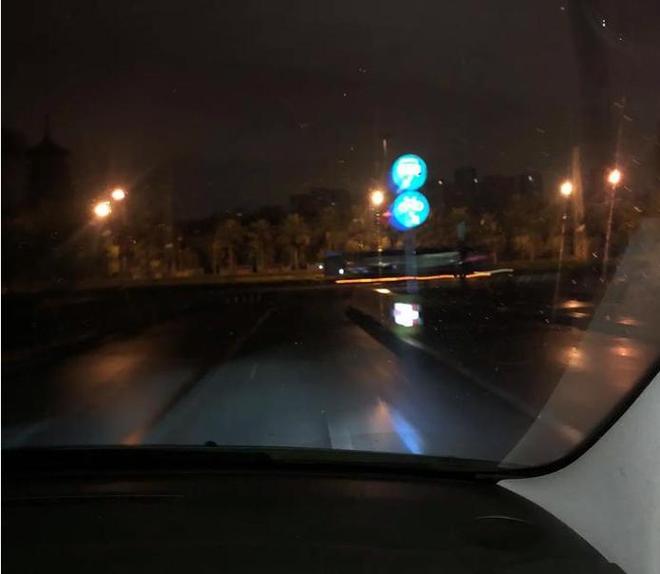 曾“绝迹”20多年！2017年在江苏山里狂奔结果一头撞上出租车(图2)