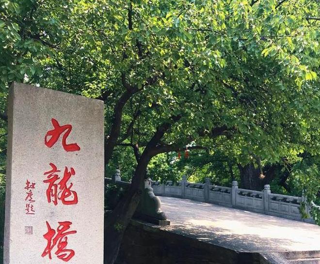 曾“绝迹”20多年！2017年在江苏山里狂奔结果一头撞上出租车(图1)