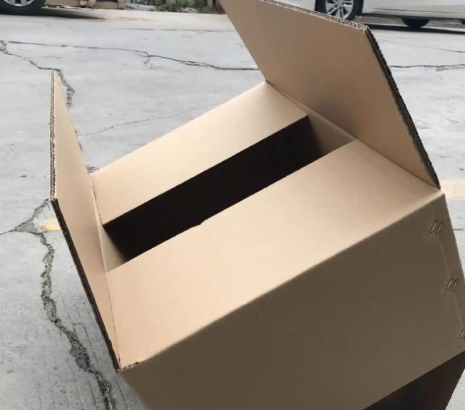 曾“绝迹”20多年！2017年在江苏山里狂奔结果一头撞上出租车(图7)