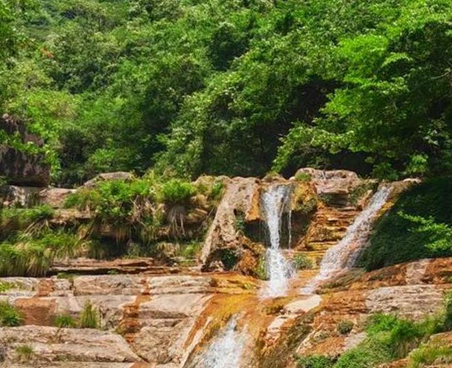 曾“绝迹”20多年！2017年在江苏山里狂奔结果一头撞上出租车(图27)