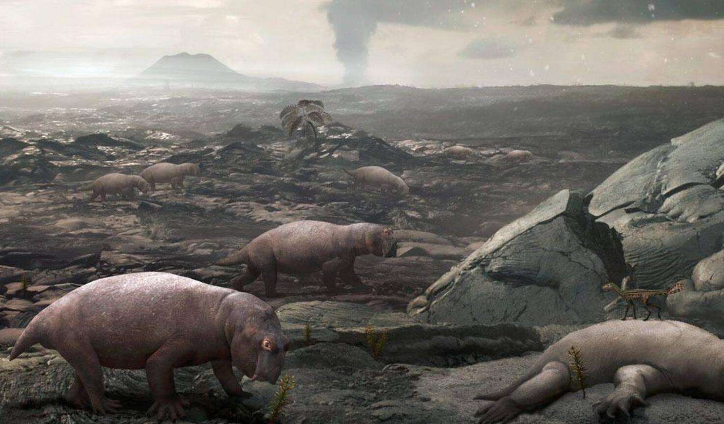 焦点访谈丨新时代长江之歌 十年守护见证绿色蝶变(图1)