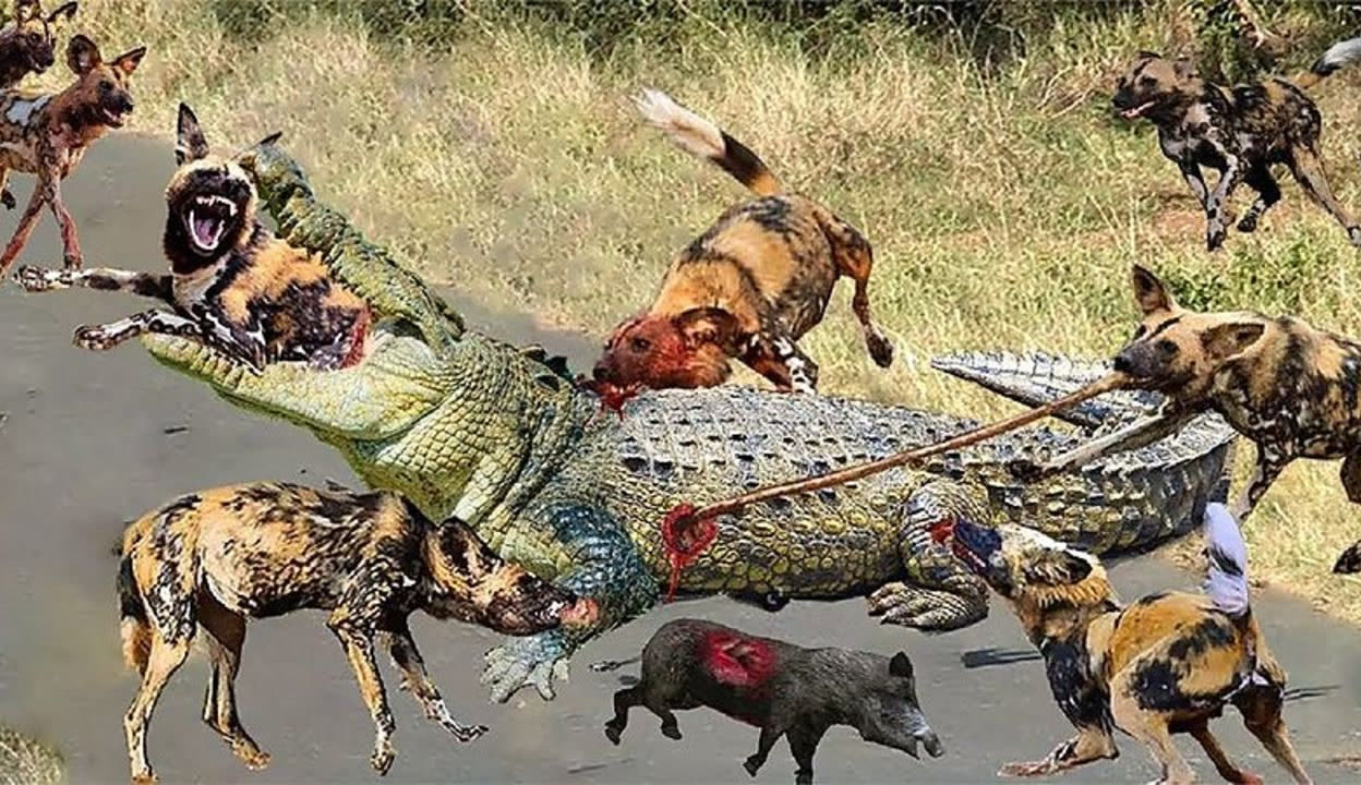 【以案释法】破坏野生动物资源警示案例(图1)