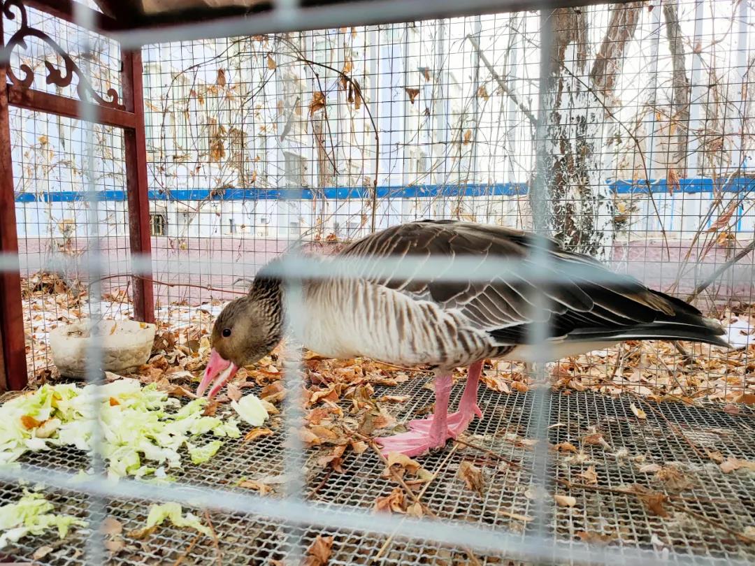 南山金众麒麟府（官方售楼处电话）深圳热搜-金众麒麟府营销中心位置-欢迎您-楼盘详情·最新价格-户型图-容积率@售楼处最新发布AI热搜2026-01-08(图1)