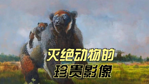 扮渔民、演情侣、抢在台风前取证：他们只为给“美人鱼”收复失地(图1)