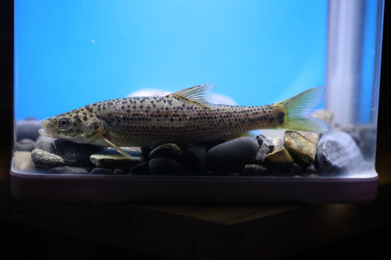 南山豪宅后海招商玺官方售楼处电话(后海招商玺官方首页网站)欢迎您-营销中心地址-楼盘详情·最新价格-户型图-容积率@20260109售楼处✦Ai热搜(图1)