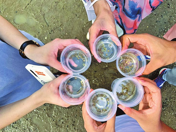 司法守护“中国鲎”的厦门实践(图2)