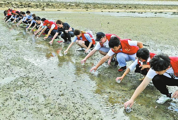 司法守护“中国鲎”的厦门实践(图5)