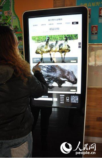 山东出台陆生野生动物收容救护管理办法(图1)