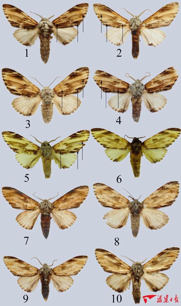 从一杯咖啡渣看浙江如何撬动“十五五”绿色新图景(图1)