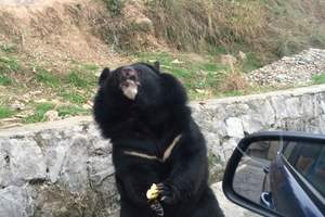 上新！四川多条高速公路今年将全面开建丨早读四川(图1)