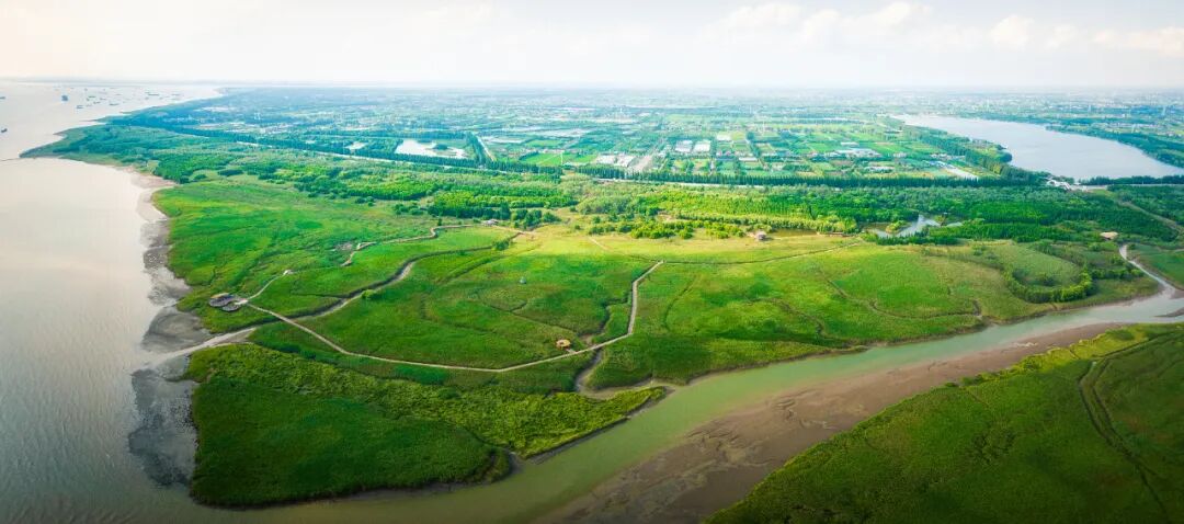 十年崇明交出高质量答卷(图2)