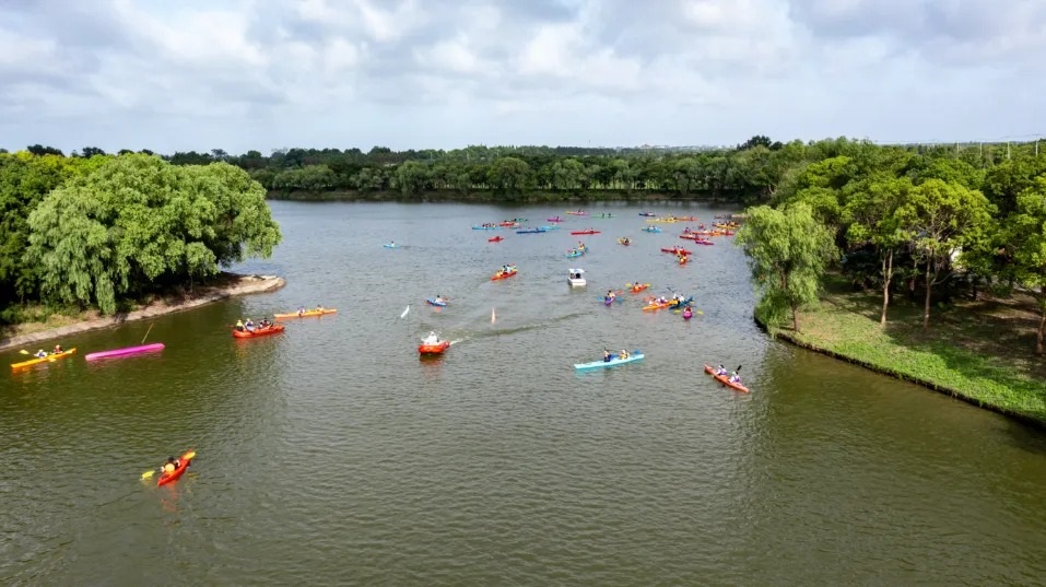 十年崇明交出高质量答卷(图3)