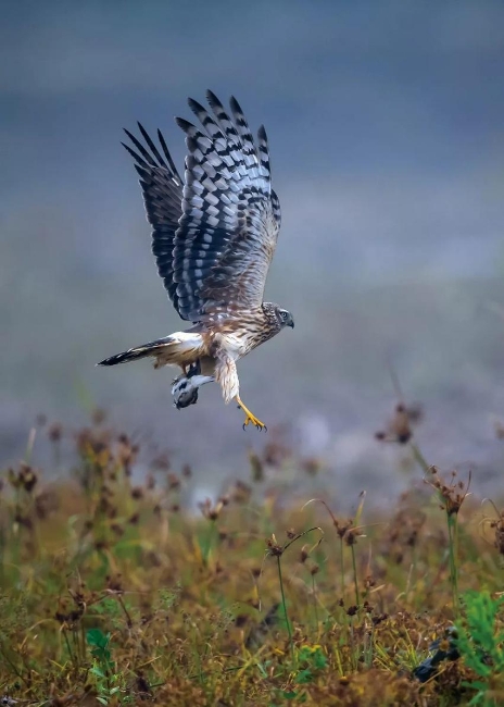 产业兼职教师的教育“破壁”之旅(图1)