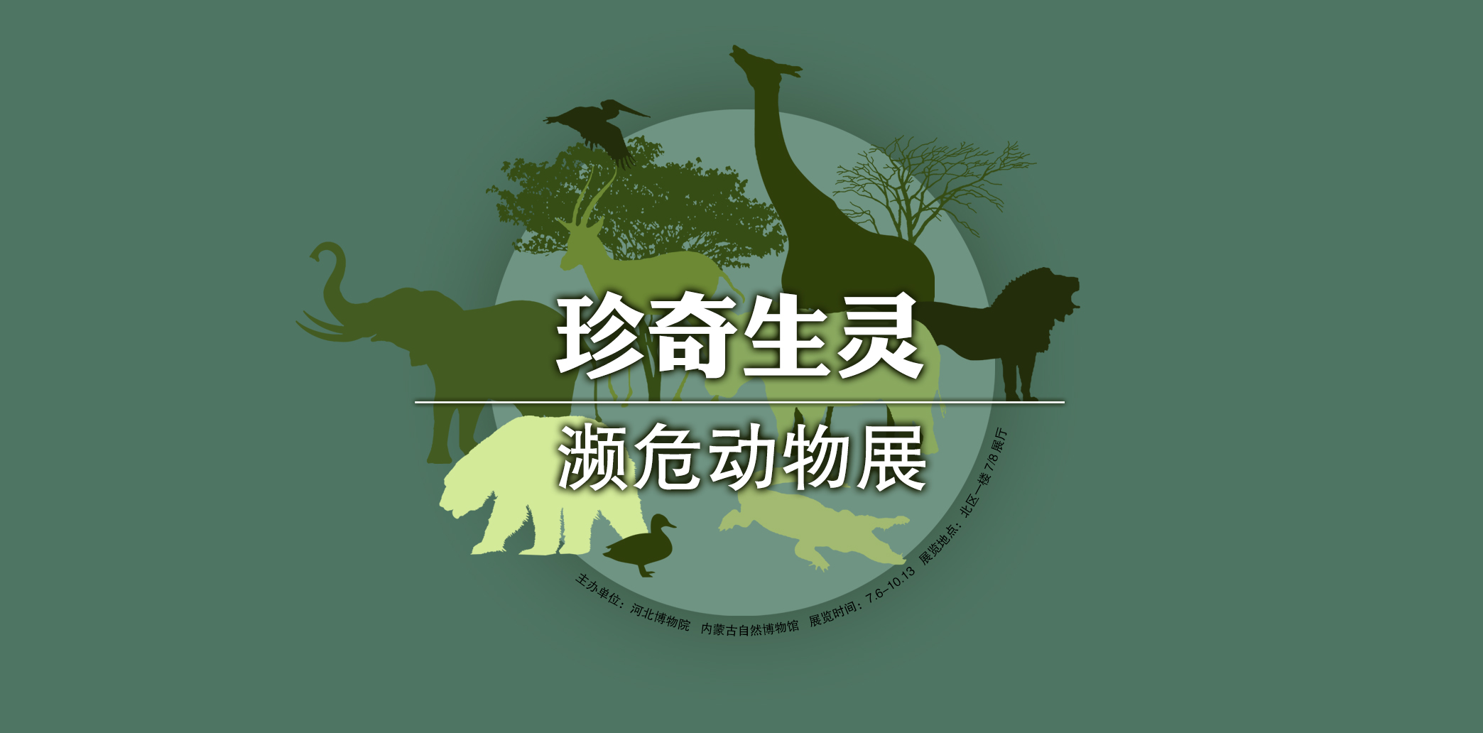 濒临动物有什么 濒临动物有哪些(图1)