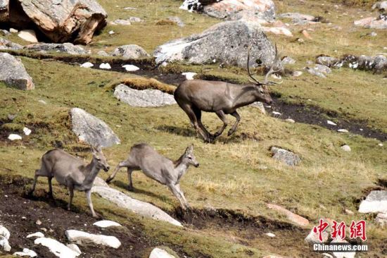 深度办公外设频道_天极网(图1)