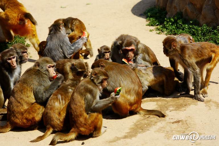 2016年全国水生野生动物保护科普宣传月启动(图1)